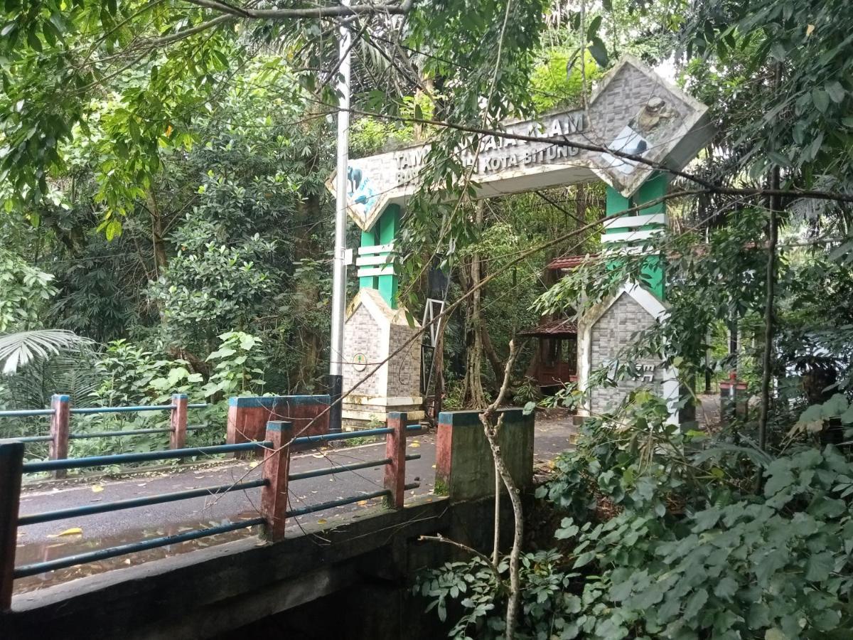 Tangkoko Ranger Homestay Bitung Exterior foto